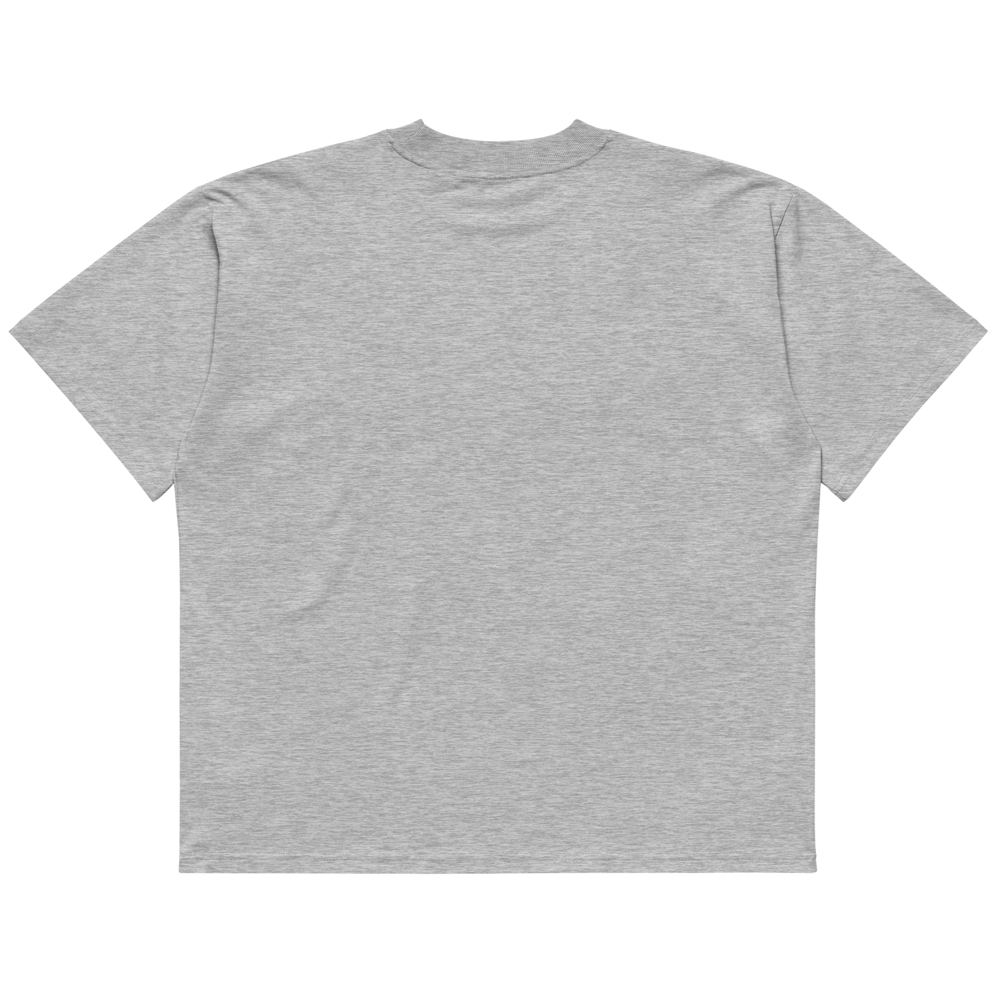 Unisex Oversized GREY T-Shirt SIHTB (Black Print)